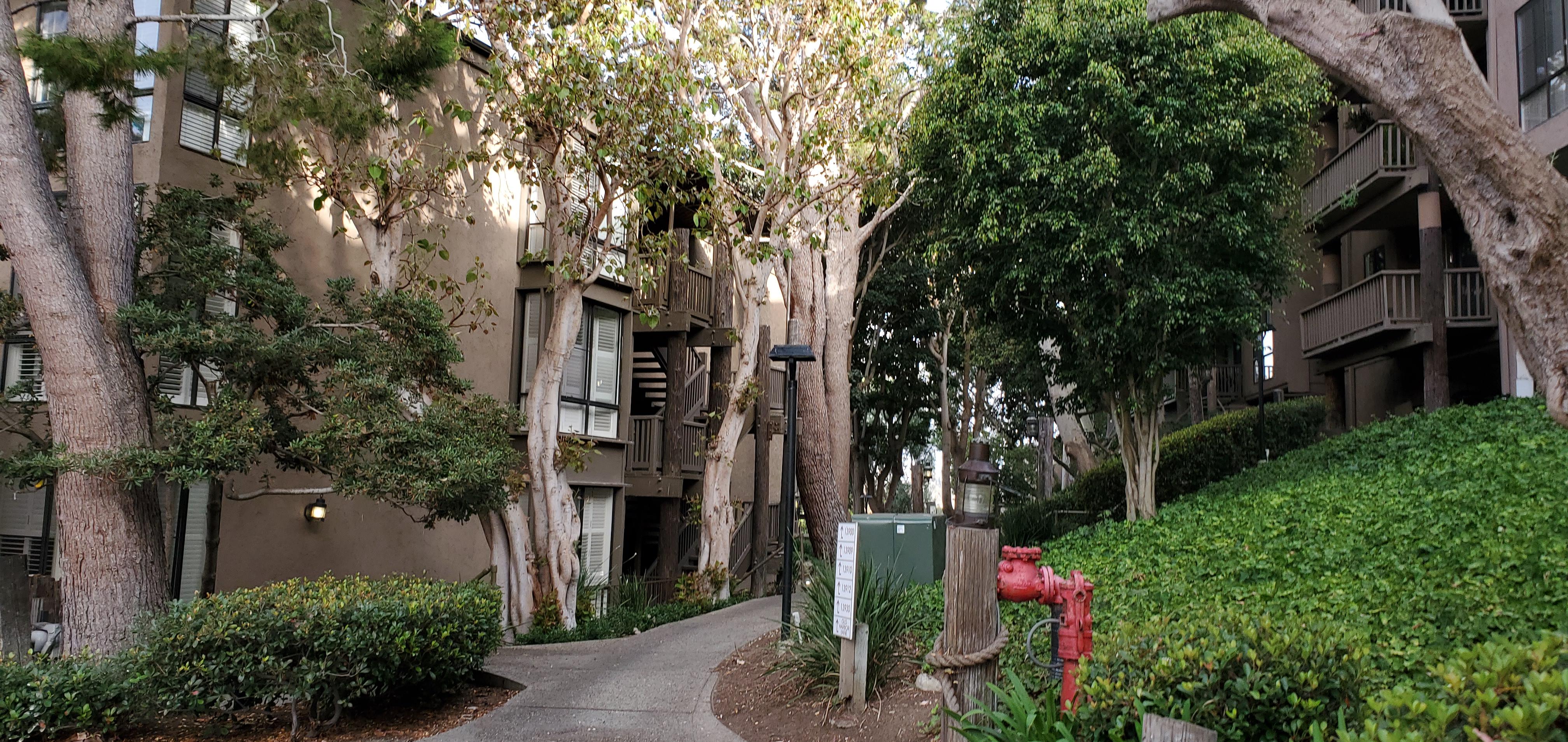 I took a walk through mariners apartment complex while listening to