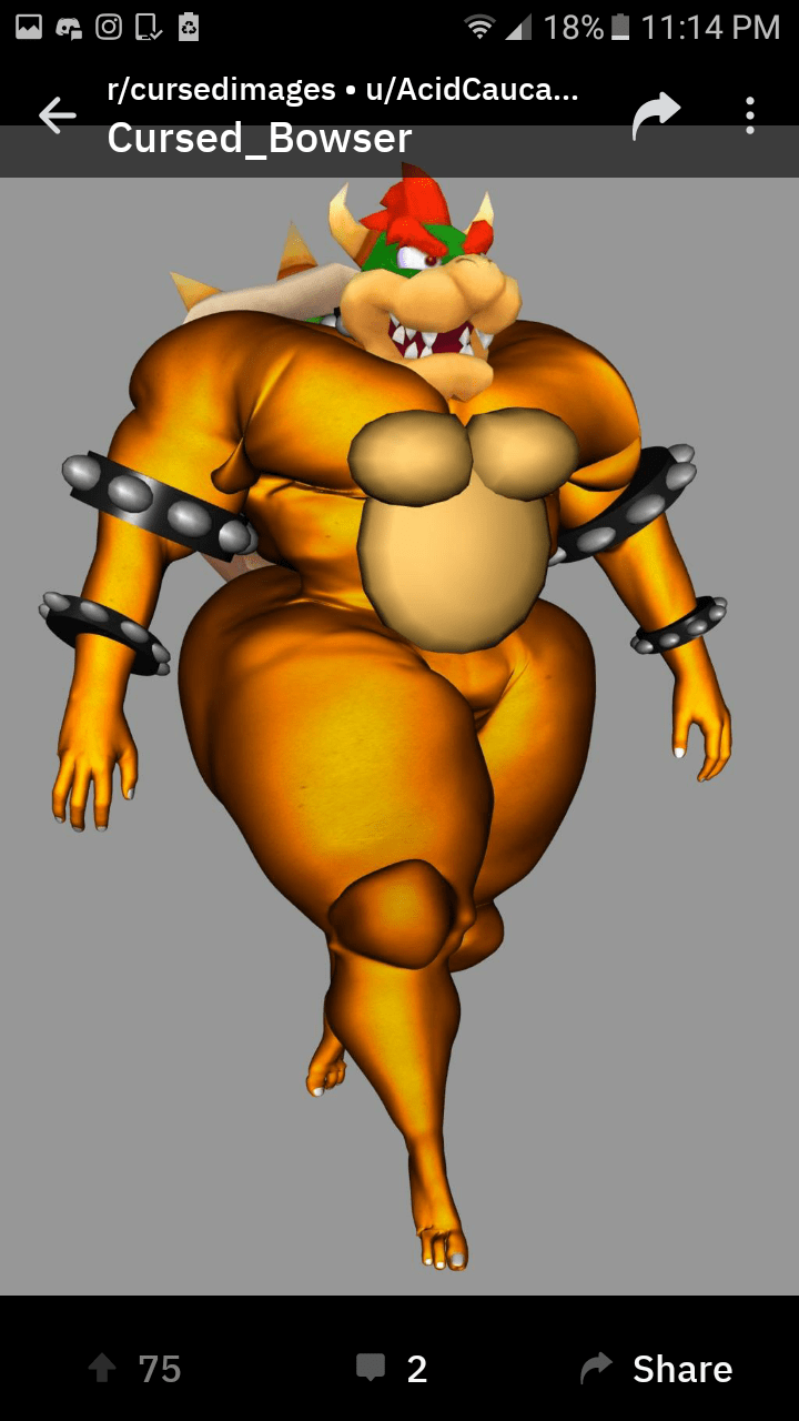 Bowser Jr Hentai