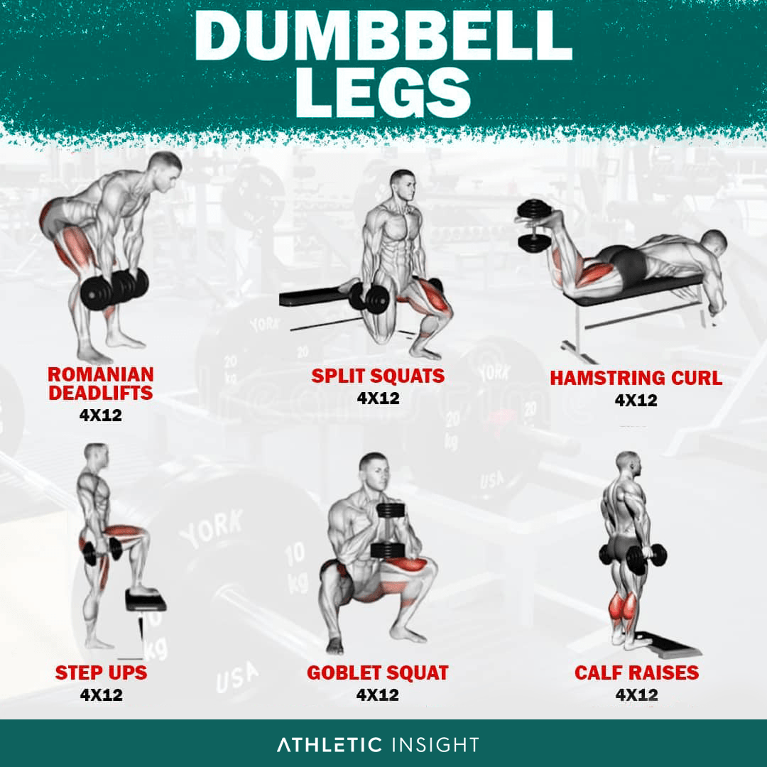 Dumbbell Legs Workout : rworkouts