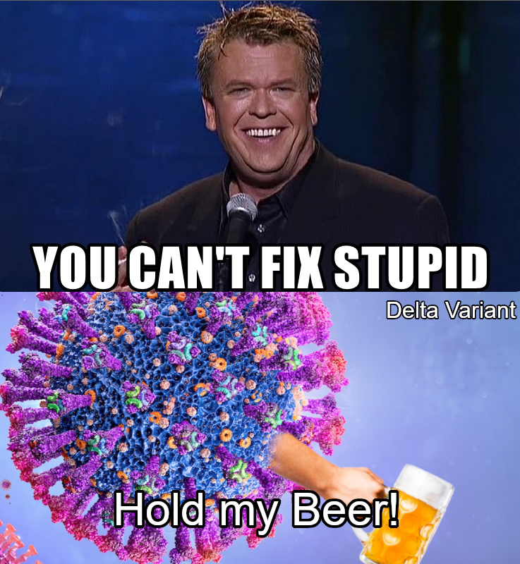 It was released by image entertainment on february 7, 2006. You Can T Fix Stupid R Memes