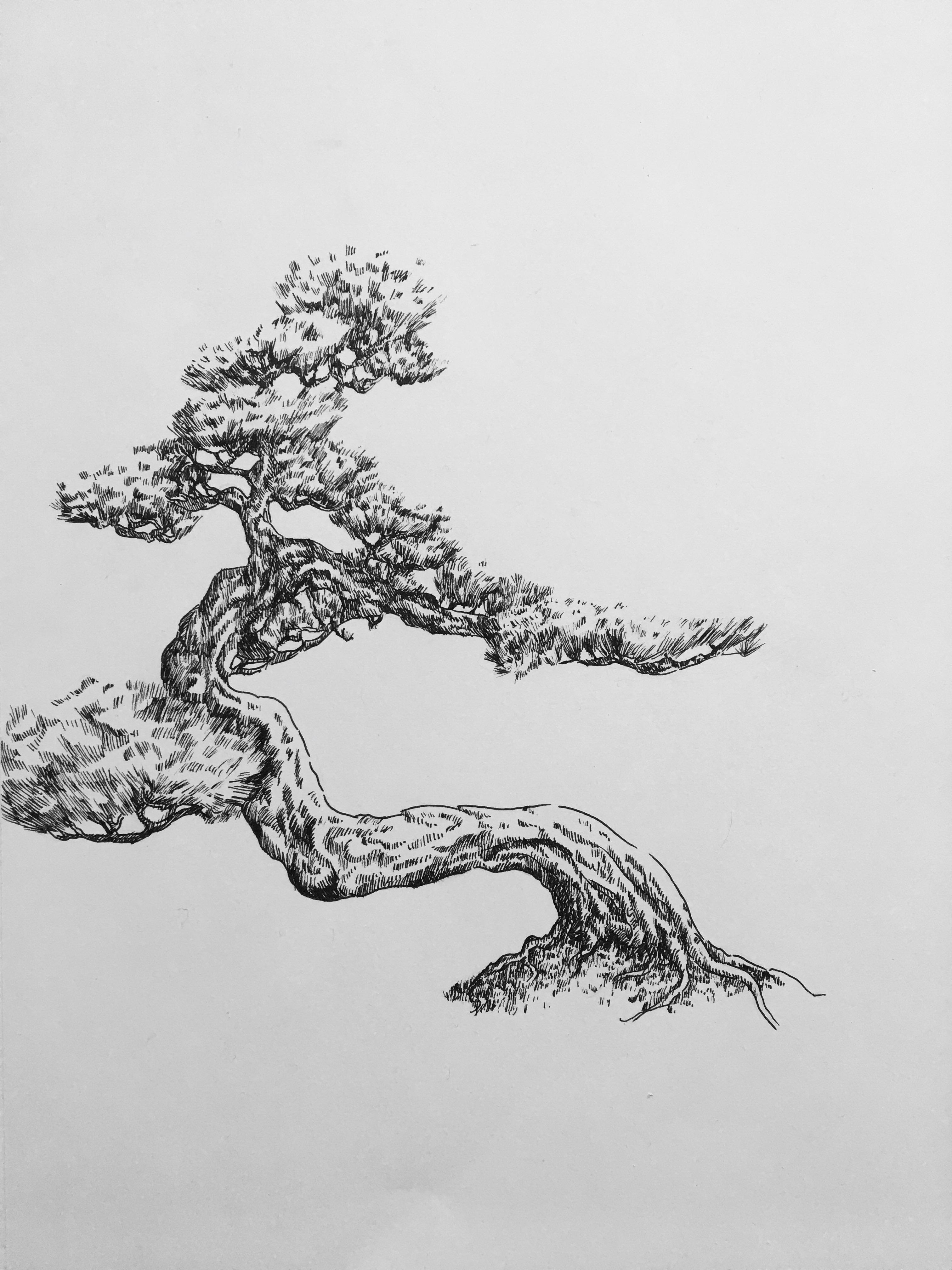 Nature Drawing Theatrical Scenery Clip Art Realistic Tree Clipart Free Transparent Clipart Clipartkey