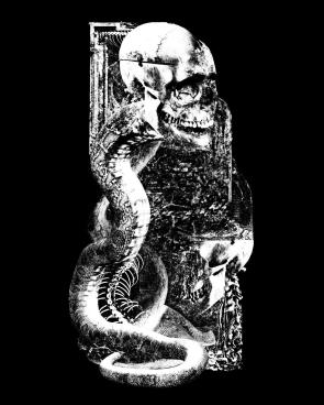 Serpentiform Dissimulation – Derek Setzer