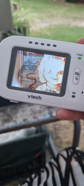 My wife has a baby cam for her birds while they’re nesting. I heard the scream from inside the house.