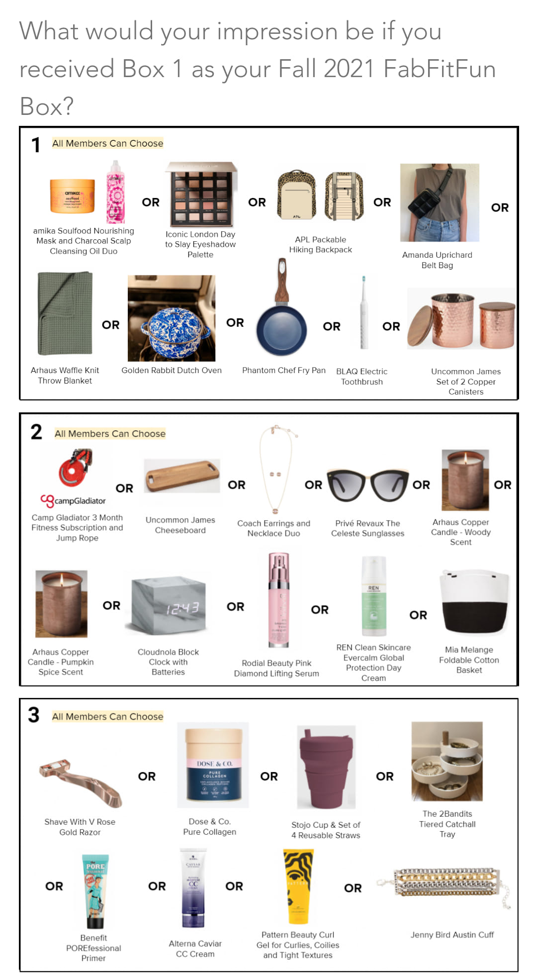 Fall 2021 Surveys Possible Box Spoilers R Fabfitfun