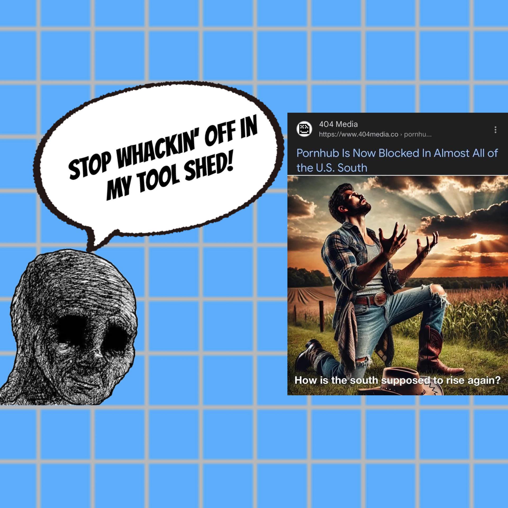 This will likely lead to interesting case law. Porn is protected by 1A and obscenely insecure age verification requirements has an obvious chilling effect. : rPoliticalCompassMemes