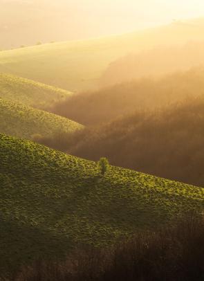 Dorset, England [3840×5293] [OC]