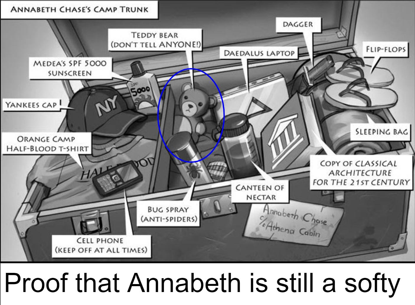 See more 'percy jackson and the olympians' images on know your meme! Happy Birthday To Annabeth Chase R Percyjacksonmemes