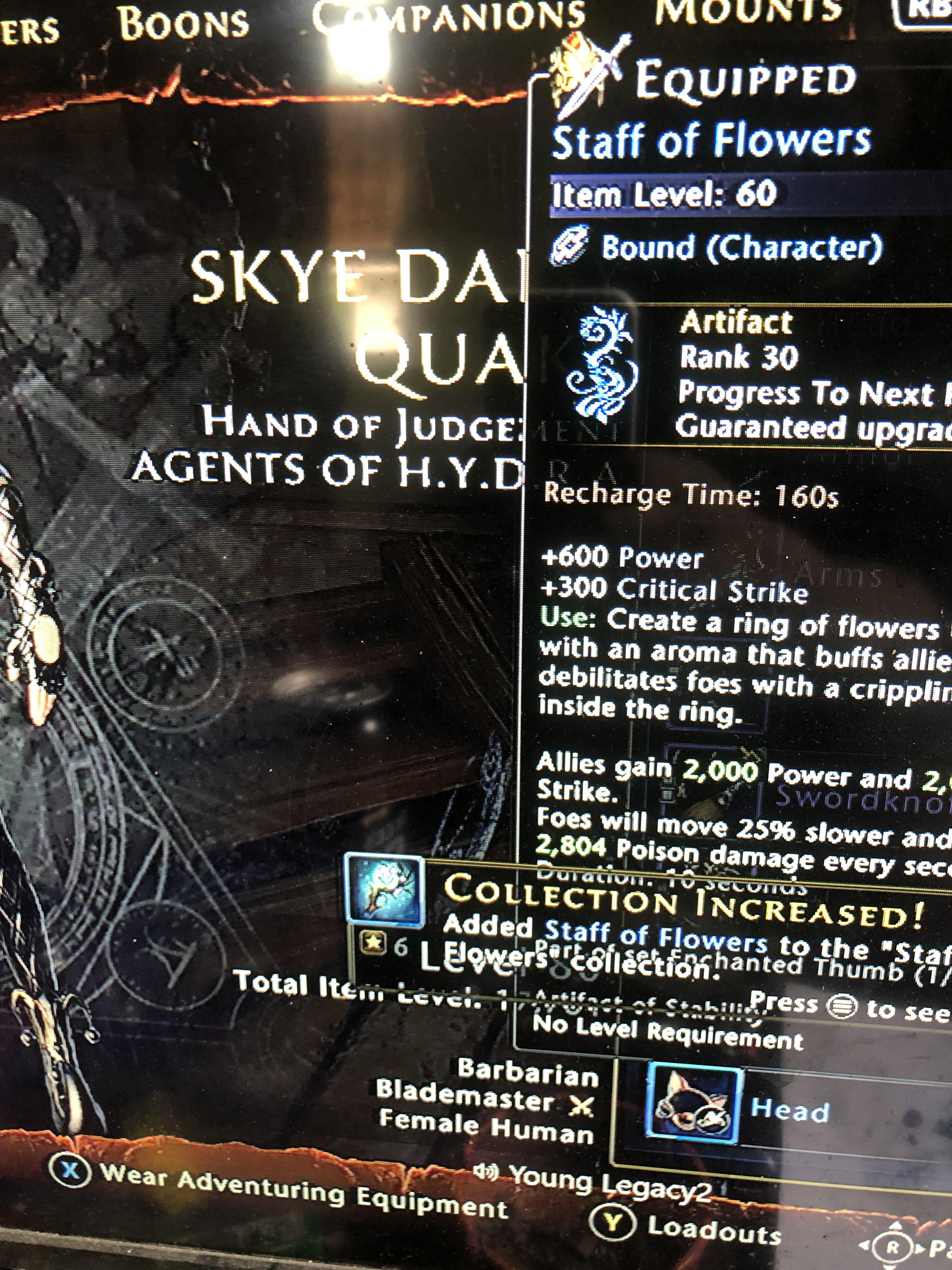 Got Staff Of Flowers Yesterday And Equipped It And Decided To See How Much  I Could Have Sold It For And I See I Made A Big Mistake 2.7 Million Astral  Diamonds