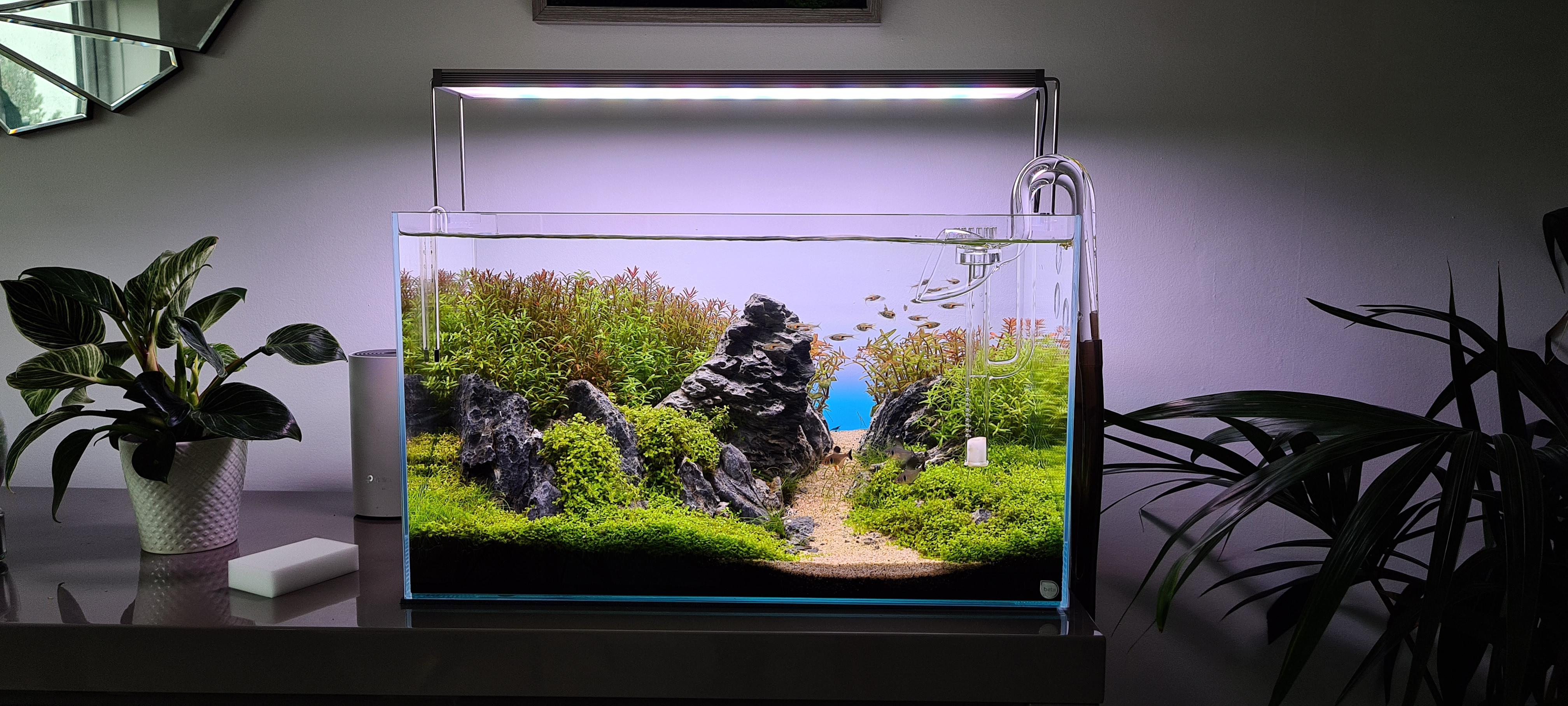 Watch and listen as peaceful . Who Else Likes To Use Background Lighting Aquariums