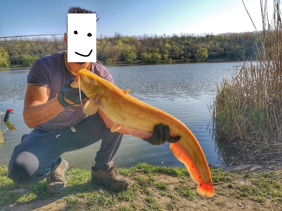 Strange Fishes From The Deep Gillbacker Sea Catfish And More Sport Fishing Magazine 