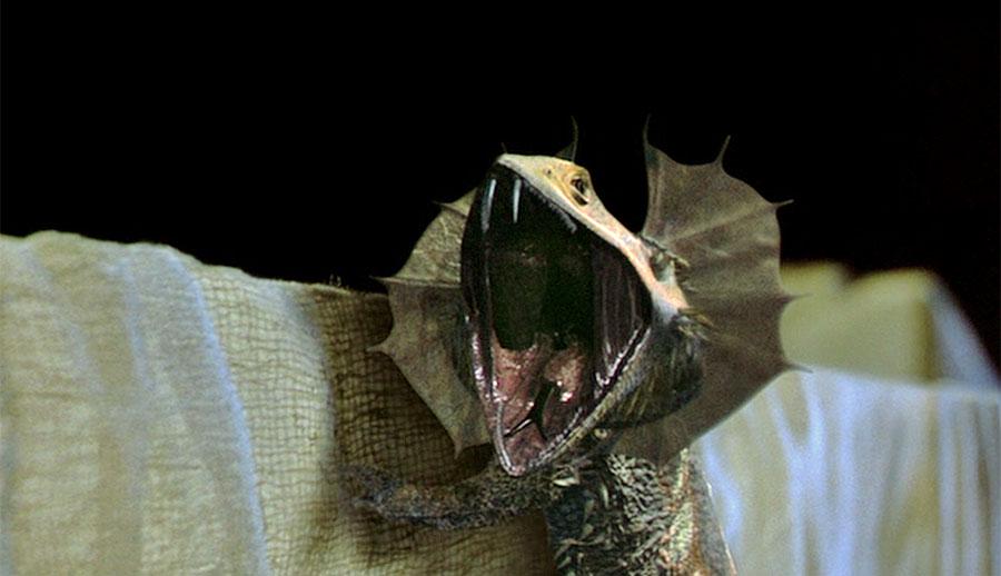 Yellow spotted lizard from the book holes busyteacher.org