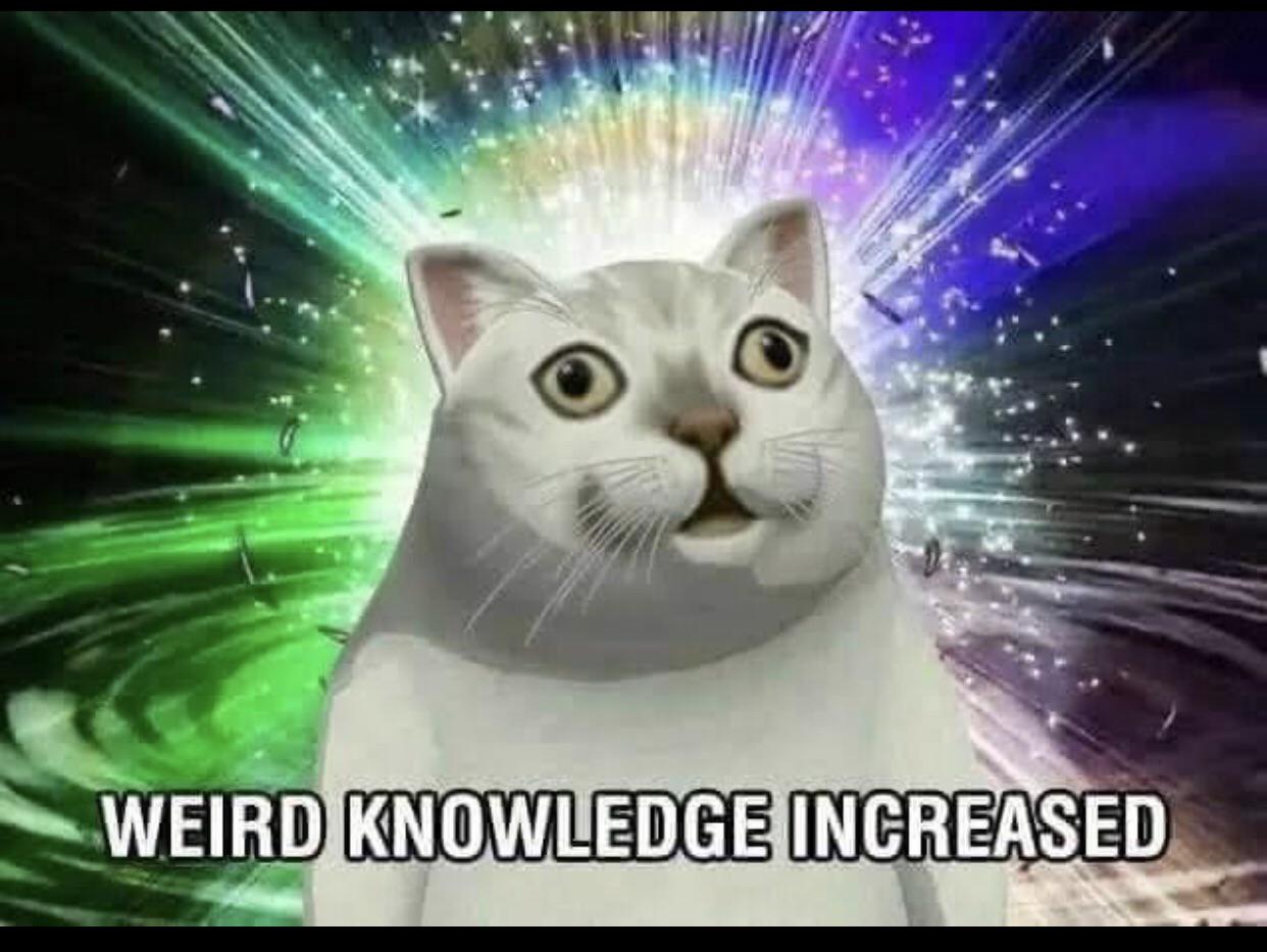 What are your thoughts on NSFWPornHentai games? : rSocialistGaming