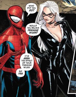 SpiderMan x Black Cat