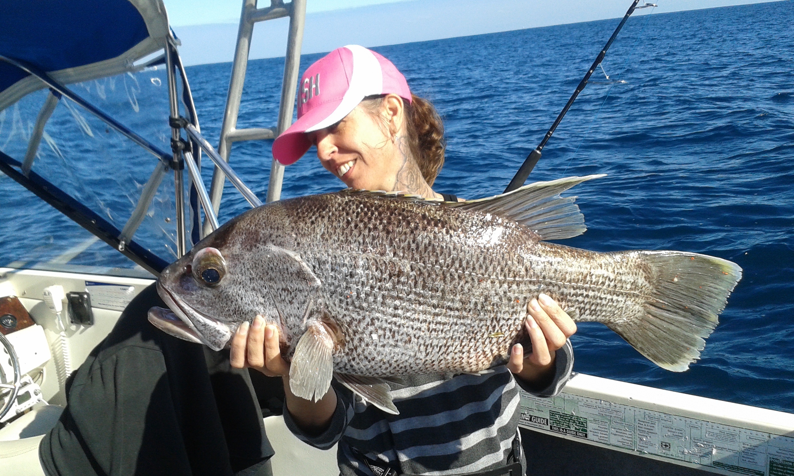 Western australian dhufish caught from the indian ocean off the coast