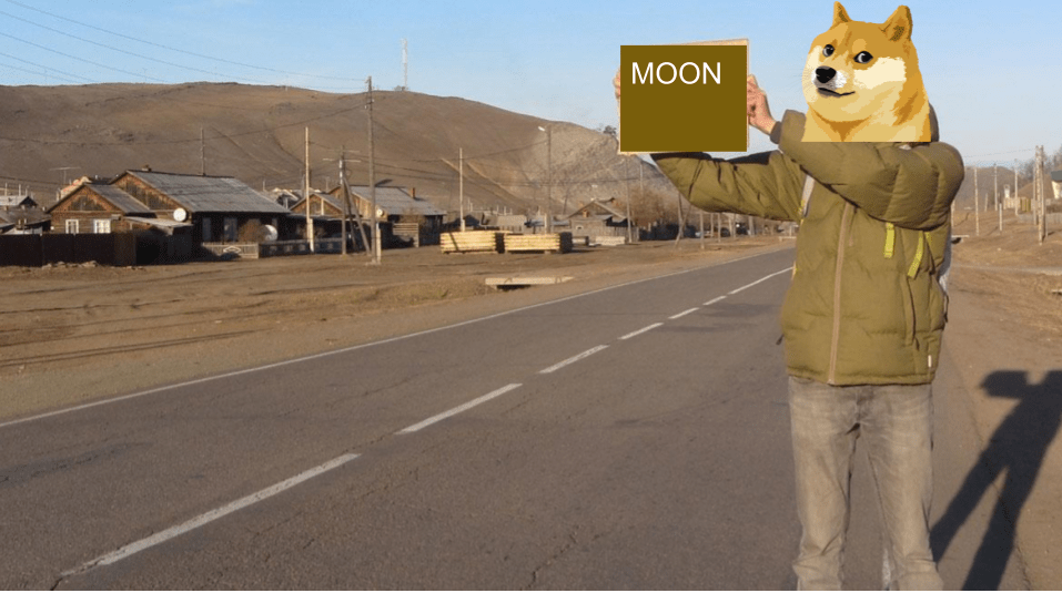 Dogecoin To The Moon Shirt : Anyone else going to the moon? : dogecoin