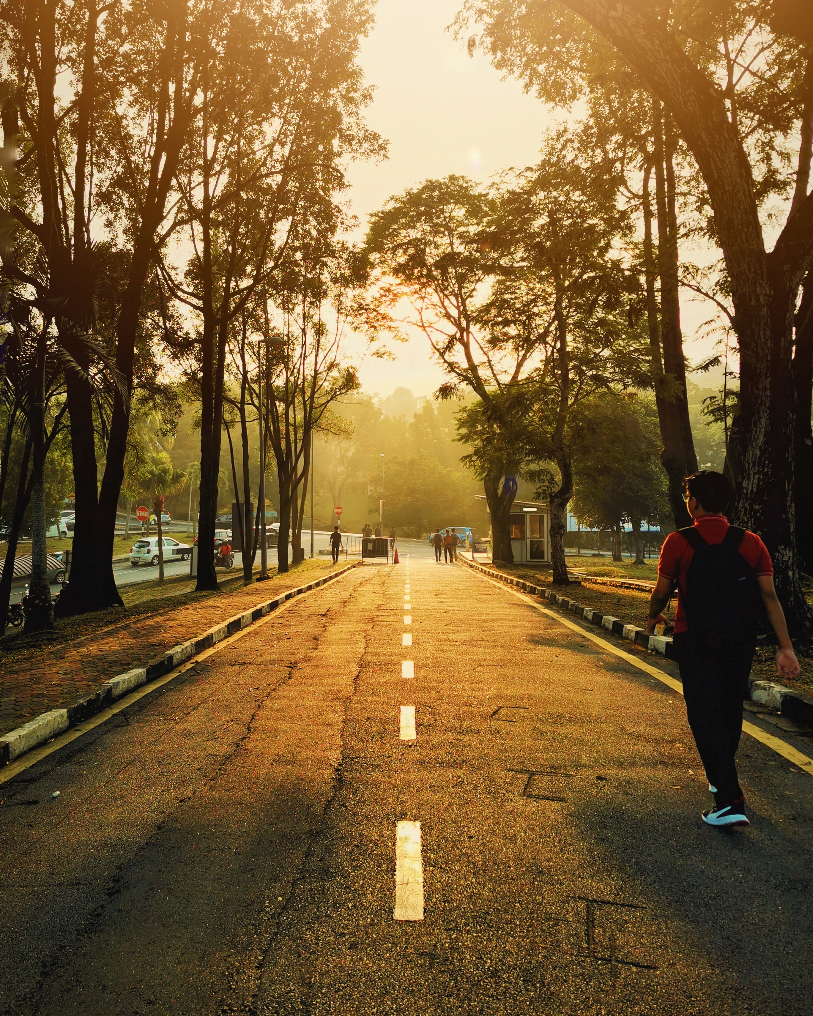Gratis Download Gambar Sunset Landscape Nature Free Photo On Pixabay Terbaru oleh Lampunghits.com