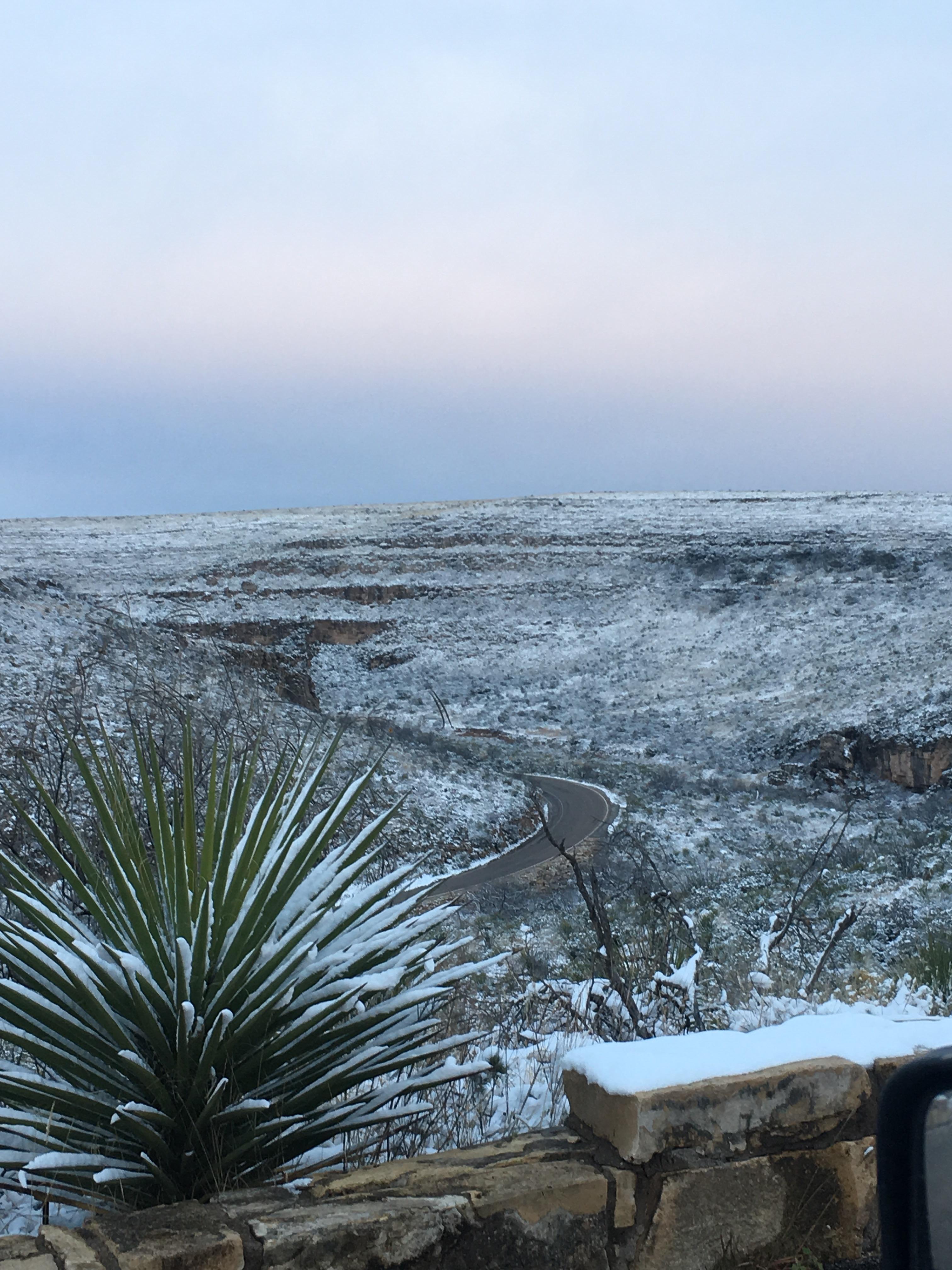 A few of the most popular hotels near bat flight program in carlsbad caverns national park are fairfield inn by marriott carlsbad, nm, home2 suites by hilton . First time in New Mexico. Got away from the job site early