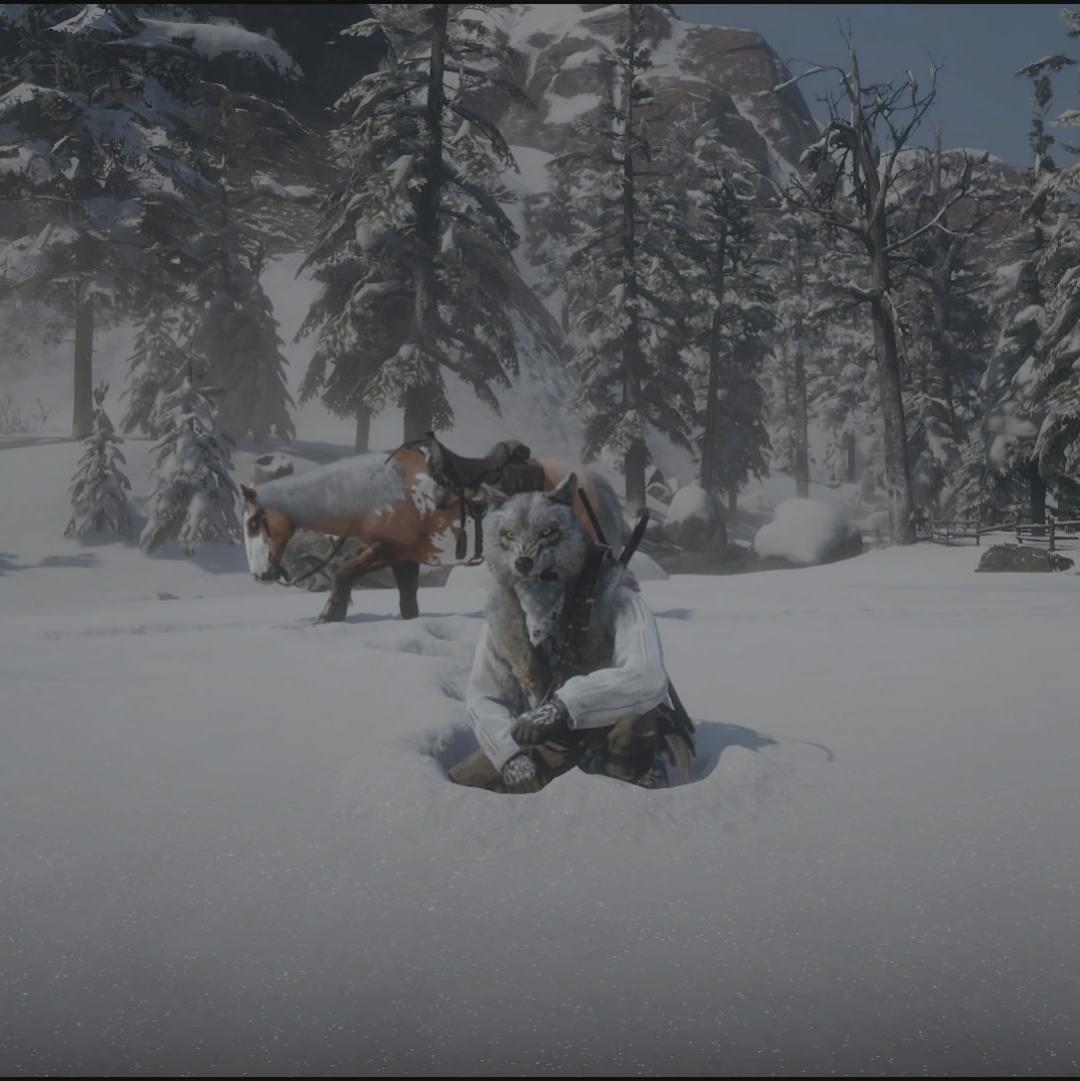 Was up hunting elk, and stopped for a quick photo.