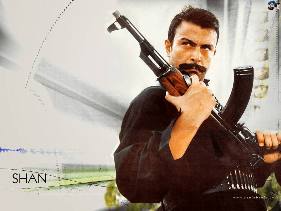 What Happened to Pakistani Lollywood? And Seriously, What Caused This decline? : rPAK