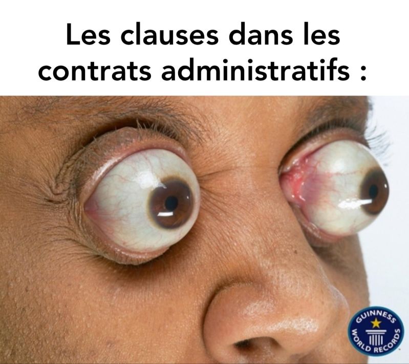 Titre R Rance - Download Professional Vintage Background | Mobile