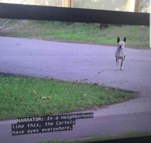 Can’t stop laughing