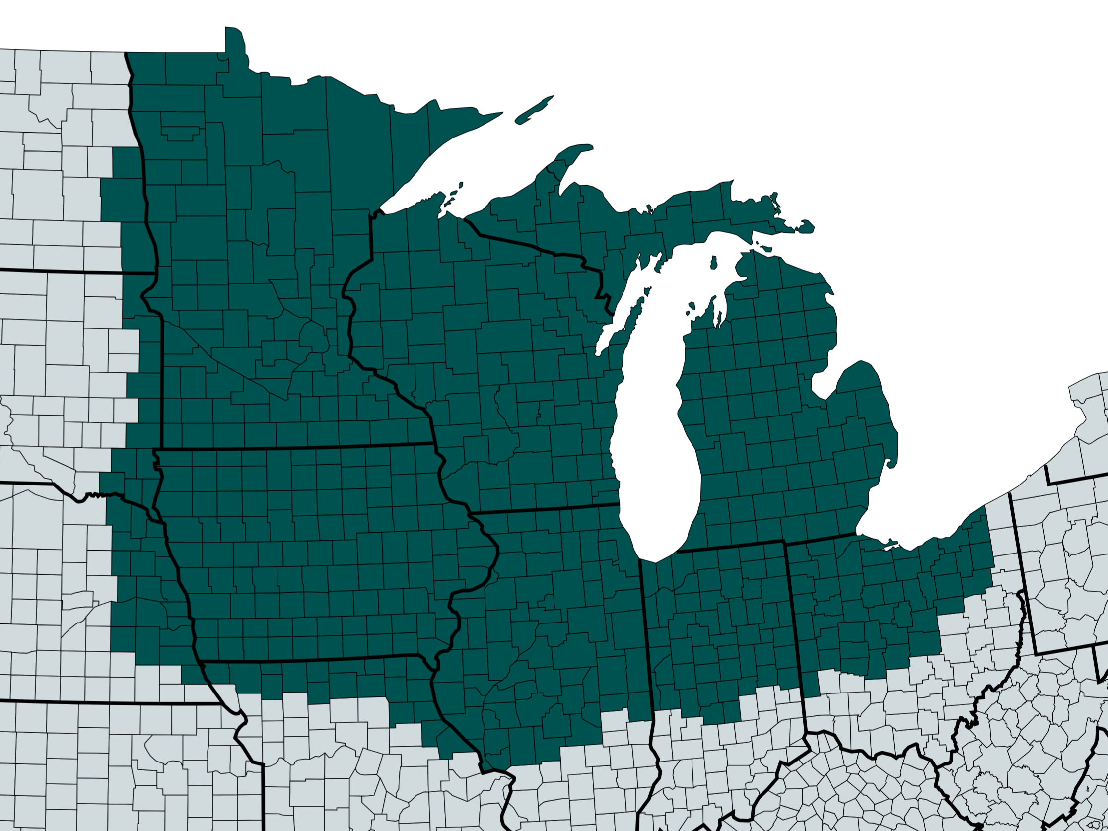 Midwestern American 