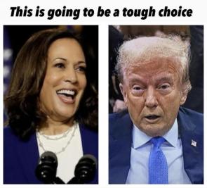Republicans Quietly Stop Impeaching Biden After Realizing it Would Make Harris President Sooner