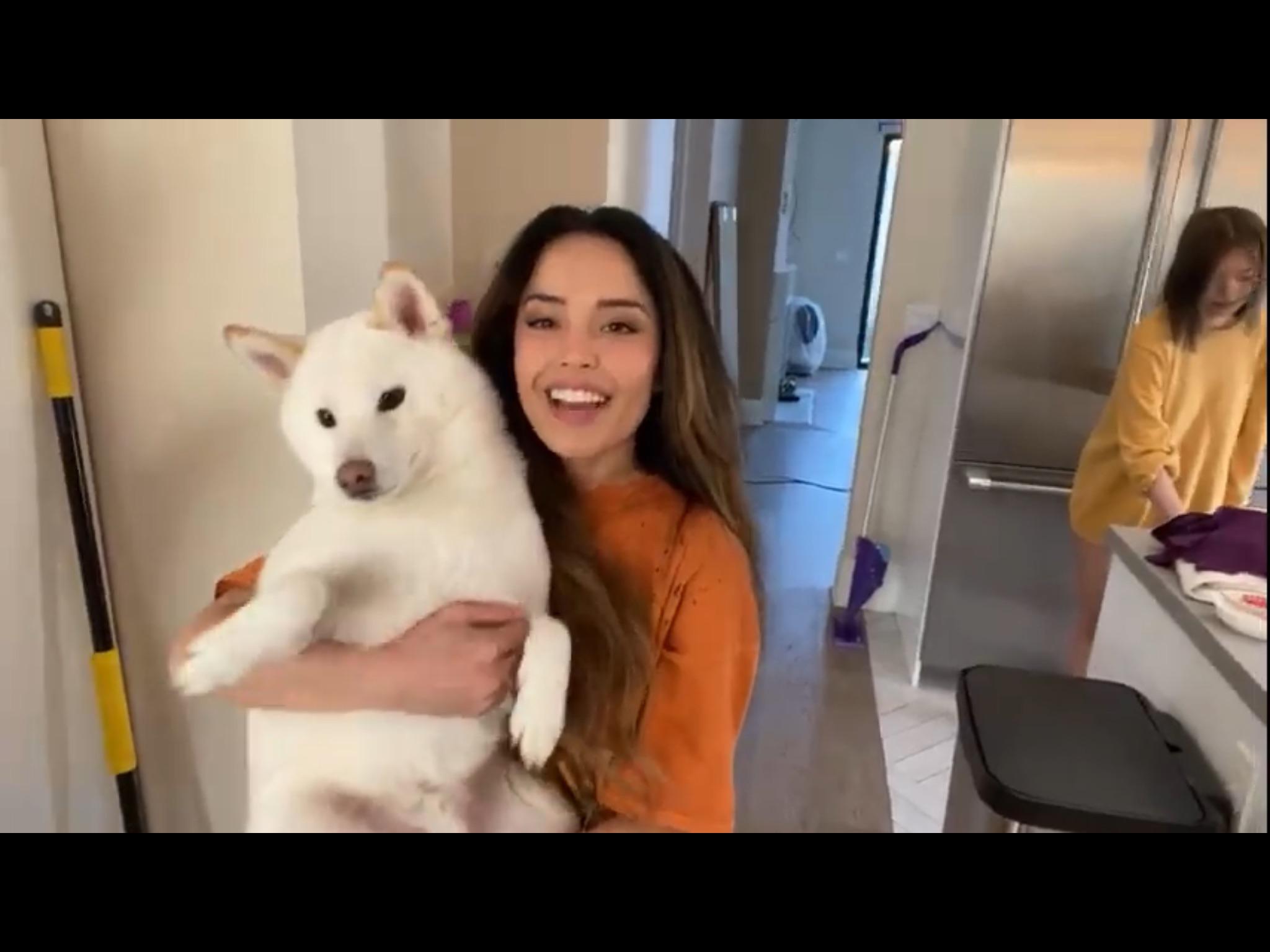 Dogs and cats are from different species of animals, appealing to different types of people. Scrolldrop Valkyrae