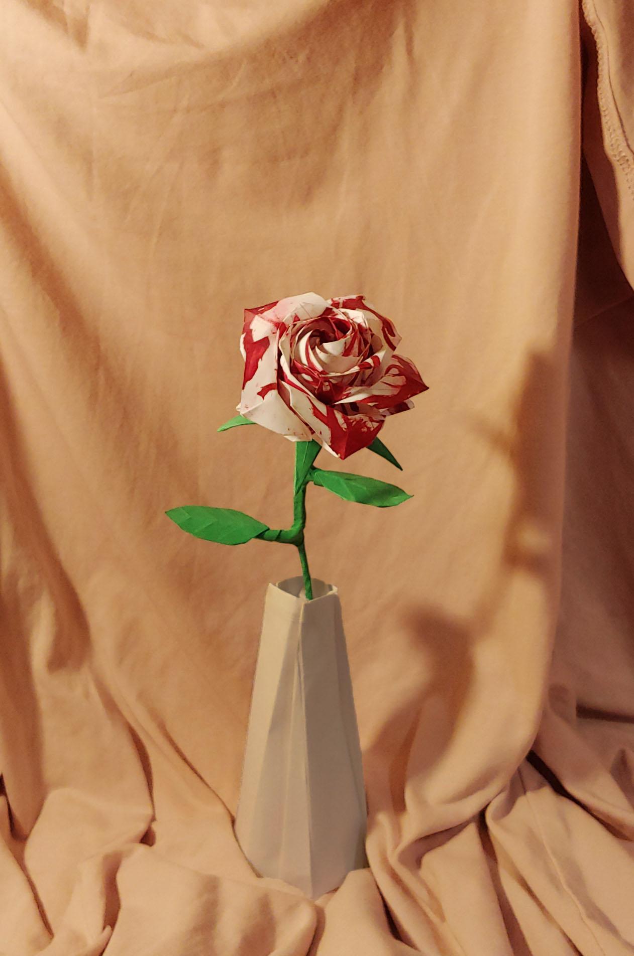 April 1, 2018 | author: 14 Best Naomiki Sato Images On Pholder Blood Rose Pentagon Rose Naomiki Sato