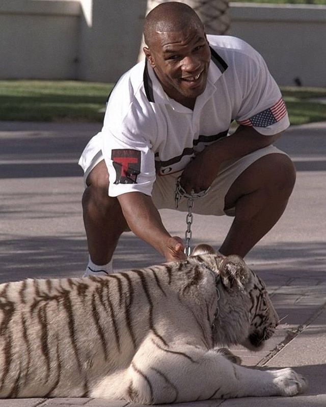 Mike Tyson Petting His White Tiger 90 S R Oldschoolcool
