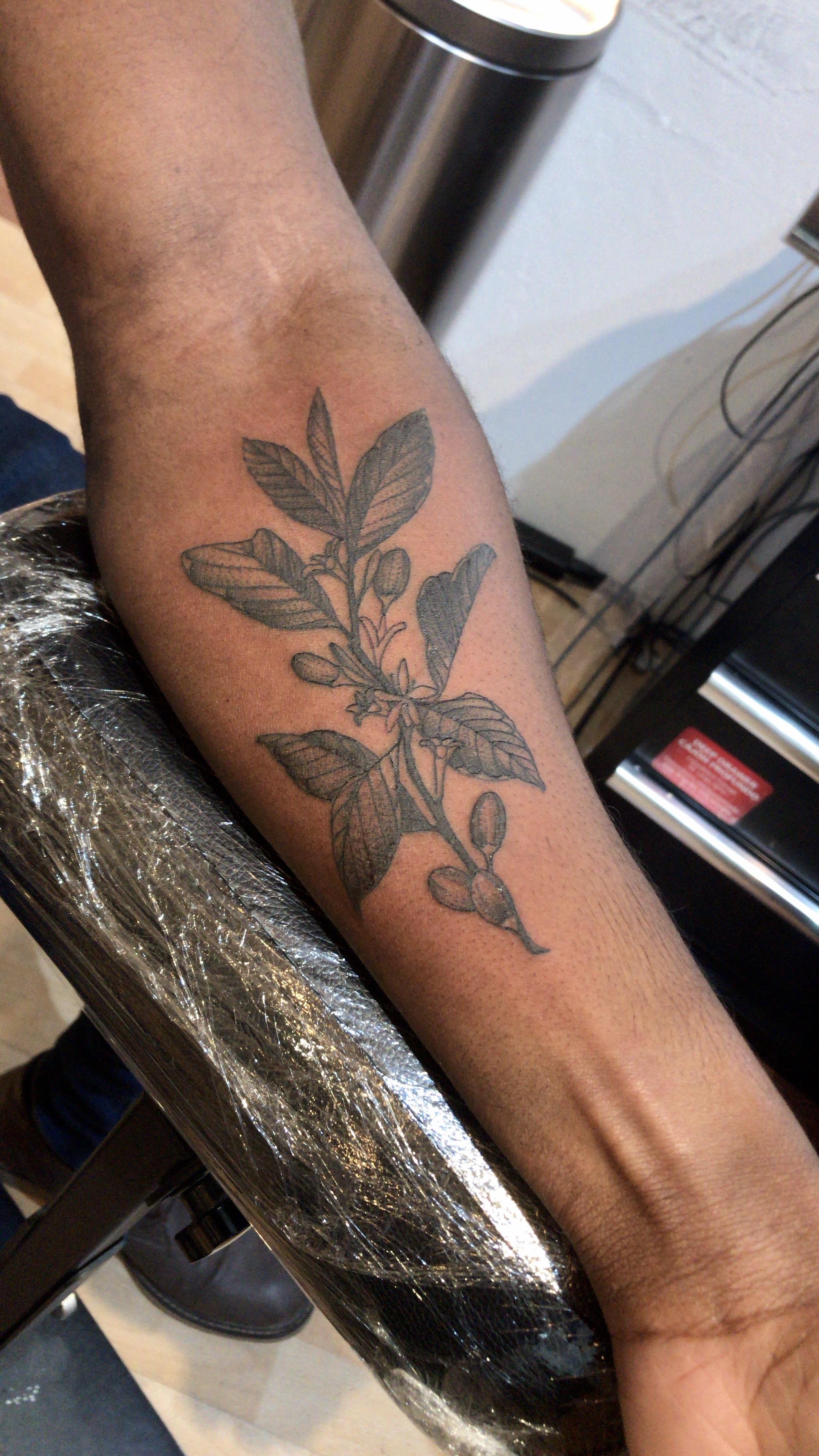 Don T See A Lot Of Darker Skin Tattoos On Here So I Offer Up My First Tattoo Coffee Plant By Barham Williams At Fable Tattoo In Richmond Va Tattoos