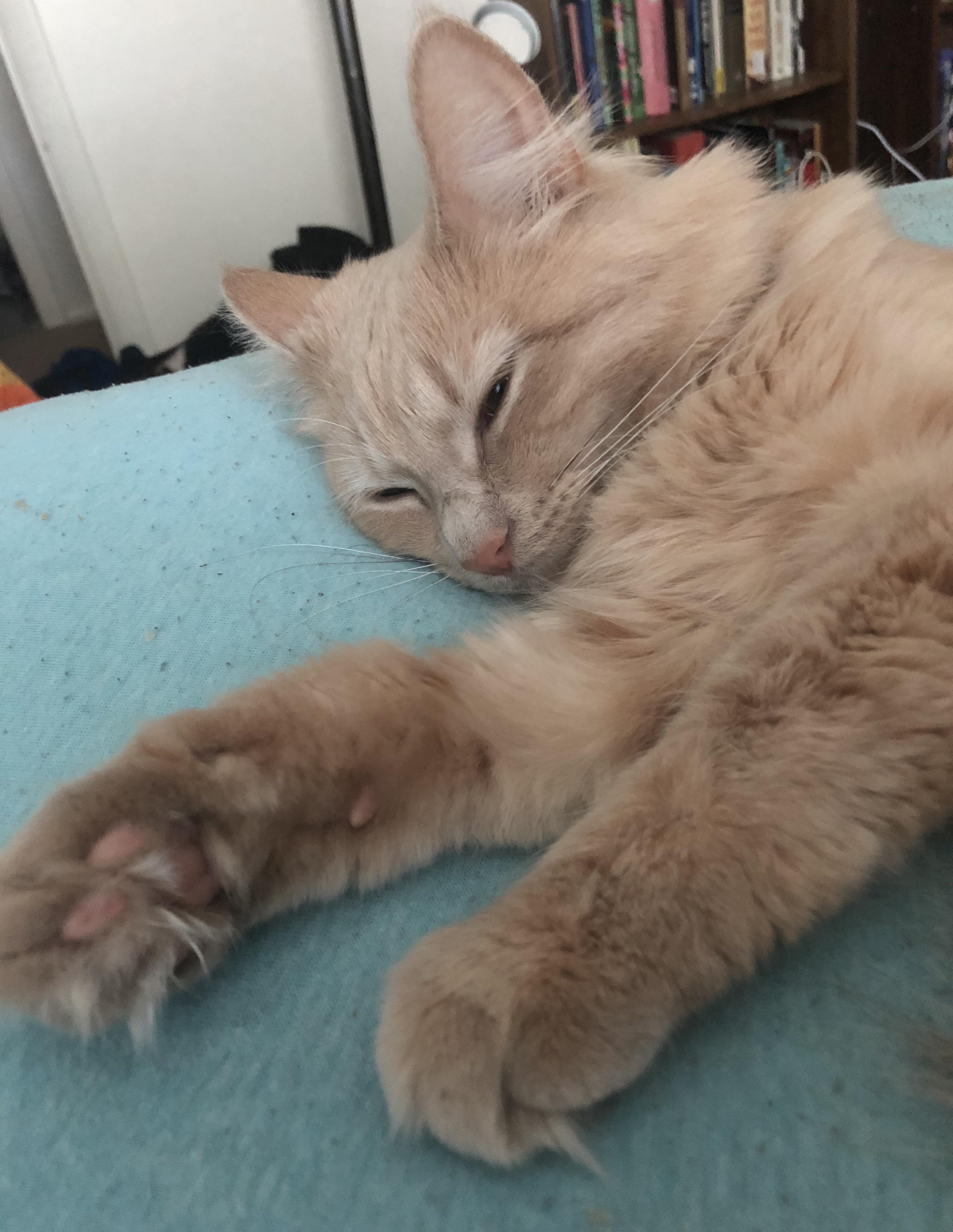 It's been a wonderful long weekend and we need to keep the party going with some of the internet's newest. MemeShaman (u/MemeShaman) - Reddit