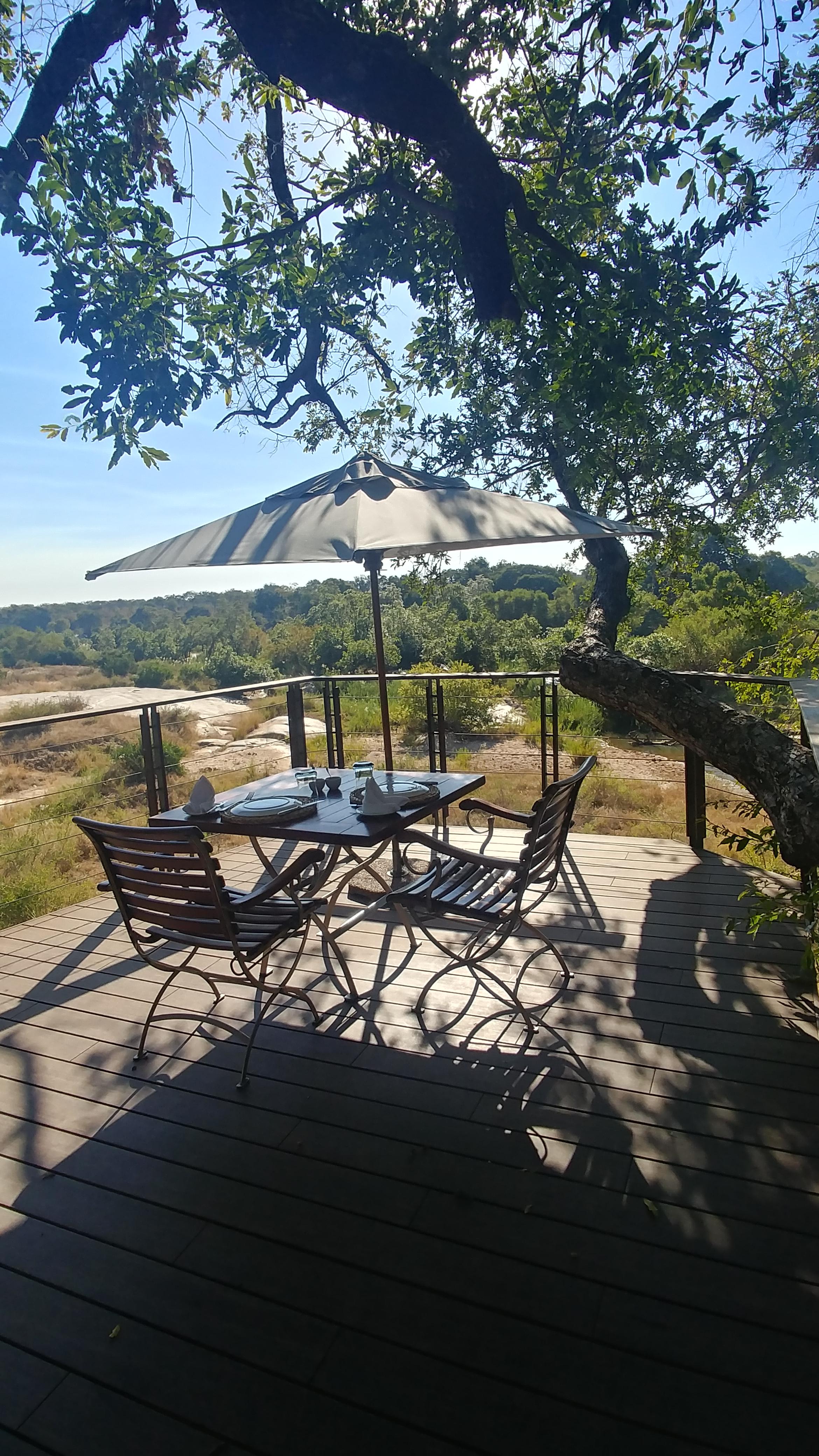 My Treehouse Lunch Over The African Safari Cozyplaces