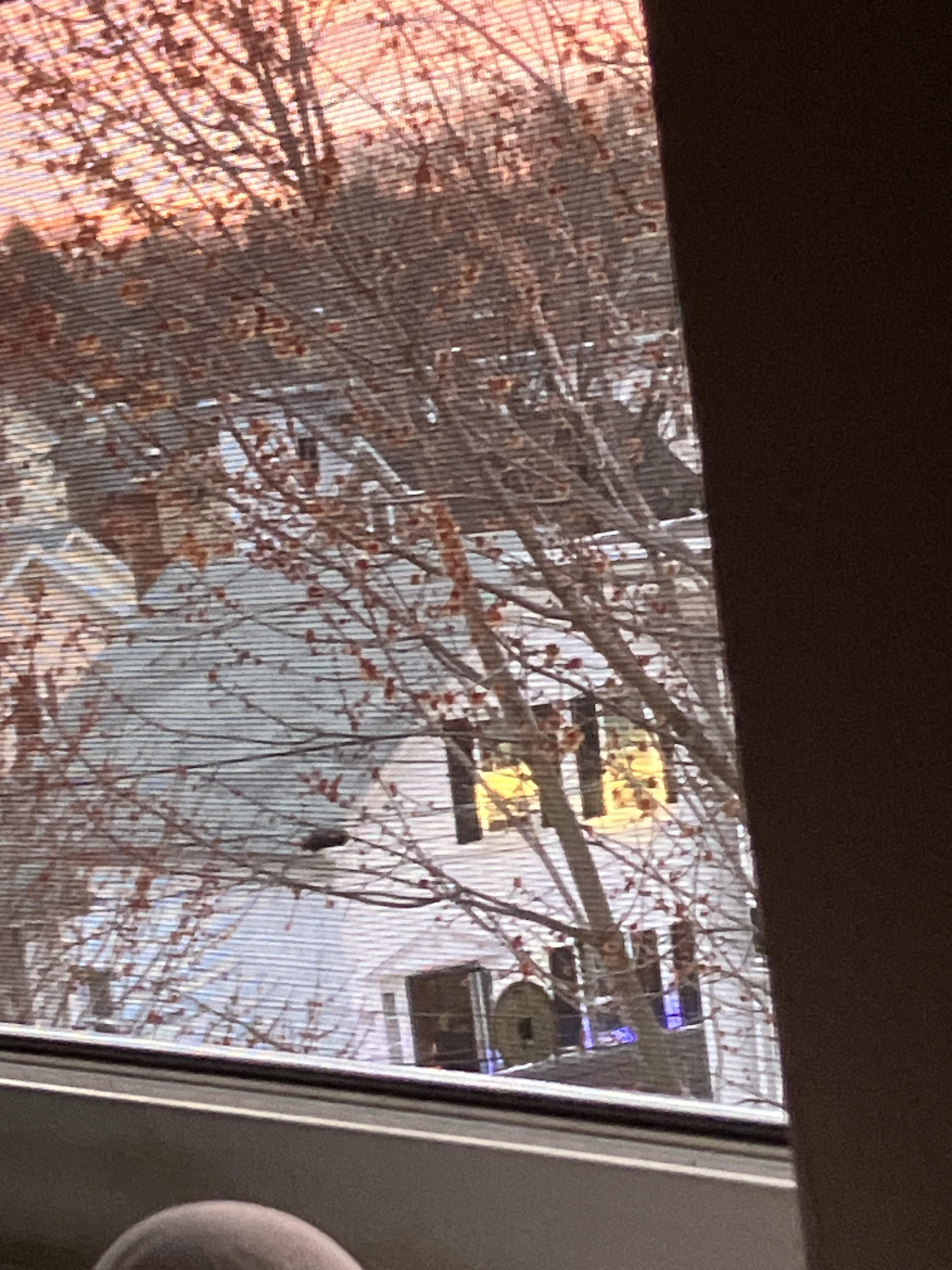 FBI raid near Lincoln St Manchester this morning : rnewhampshire