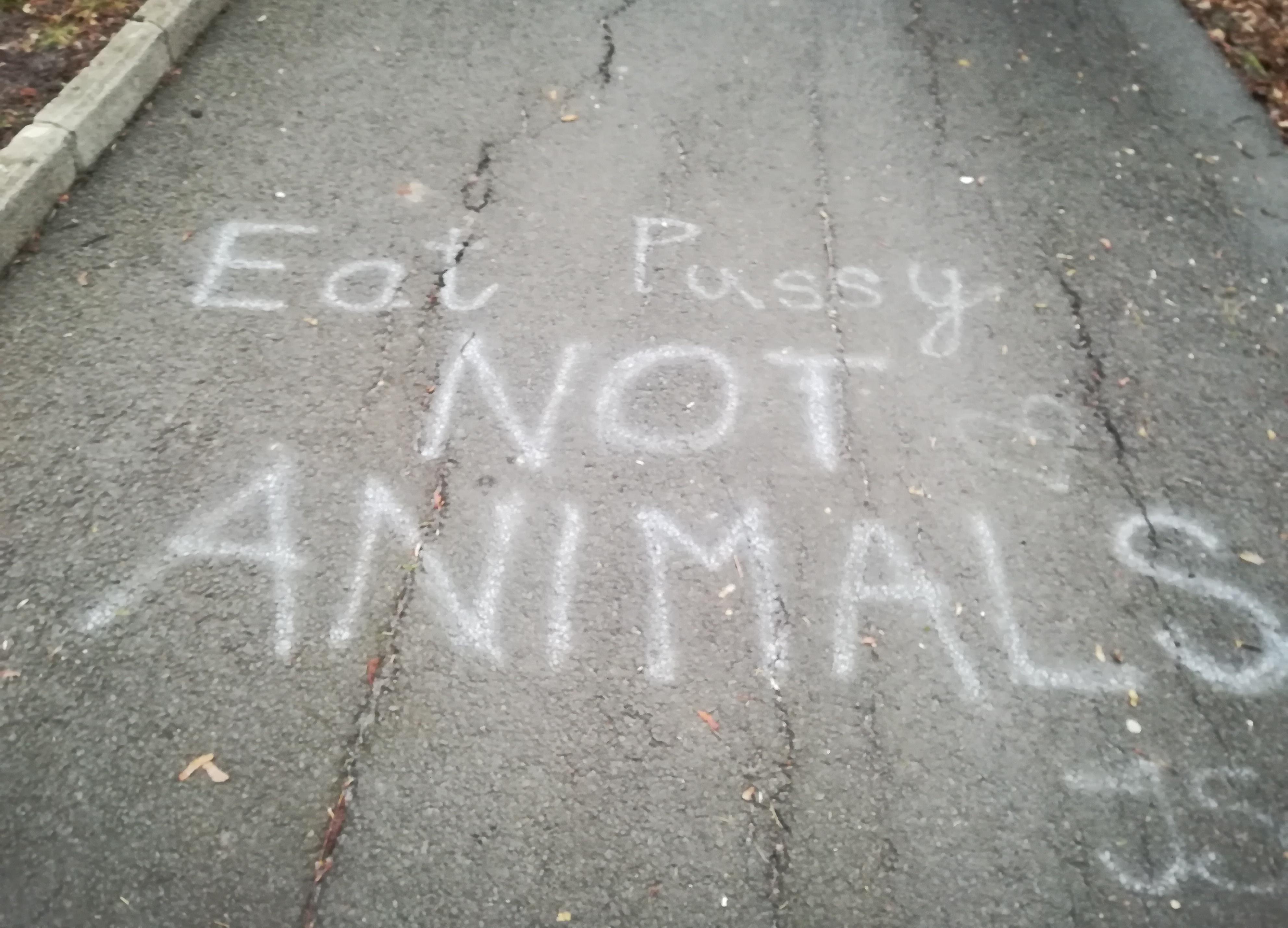 pix Nice Try Vegans Meme nice try vegans funny