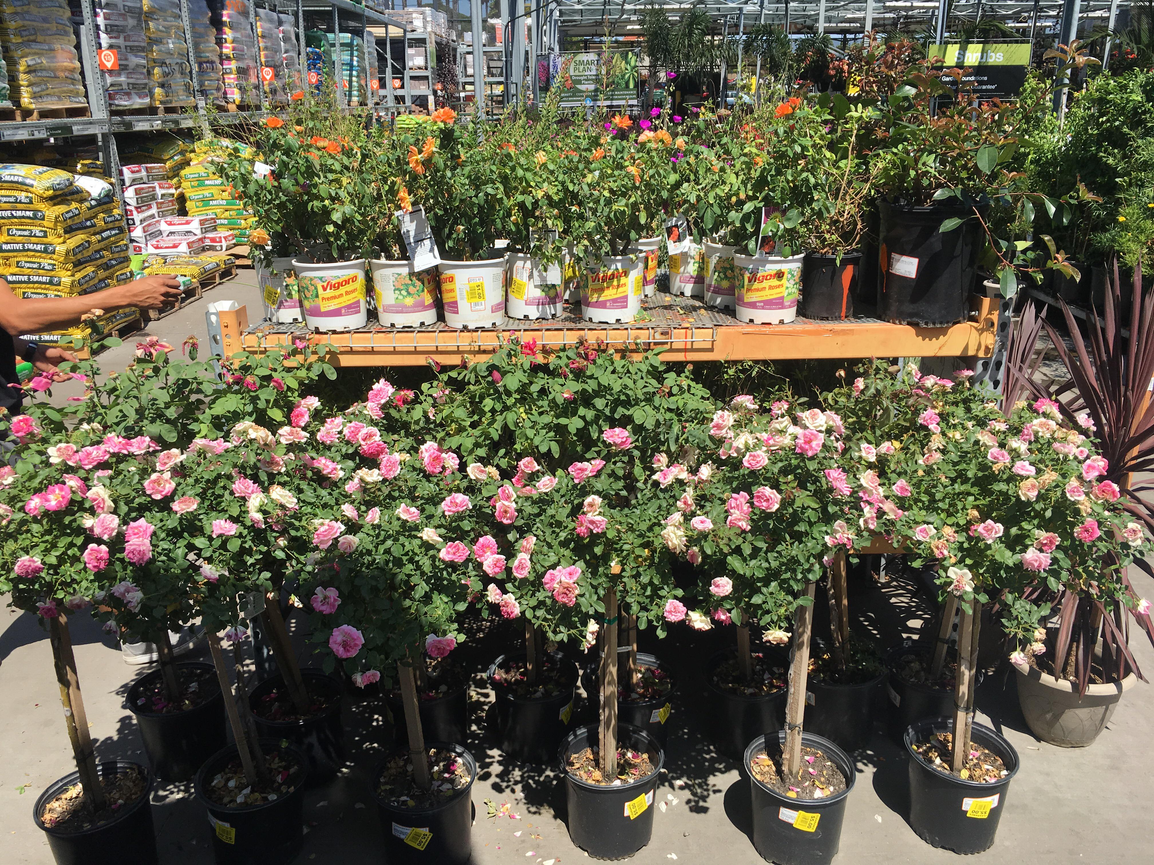 Diy Hanging Planters For The Patio Home Depot Gift Challenge Lemon Thistle