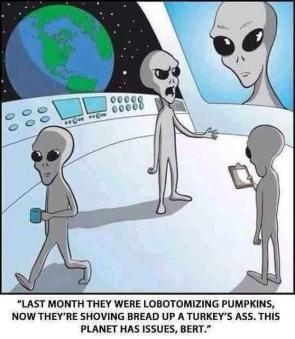 I mean, it would seem strange to an alien