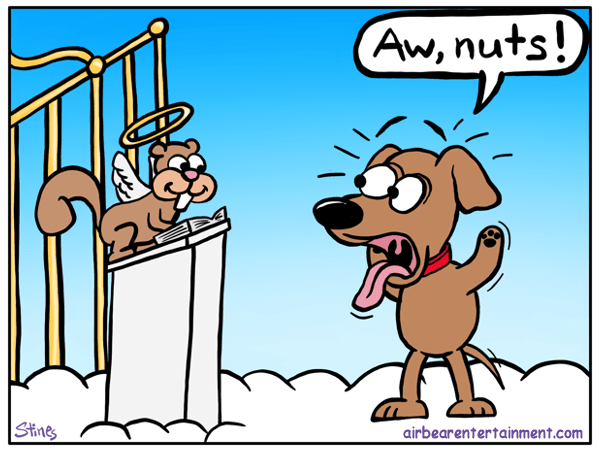 Barking Up The Wrong Tree Meaning And Origin