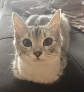 hi there