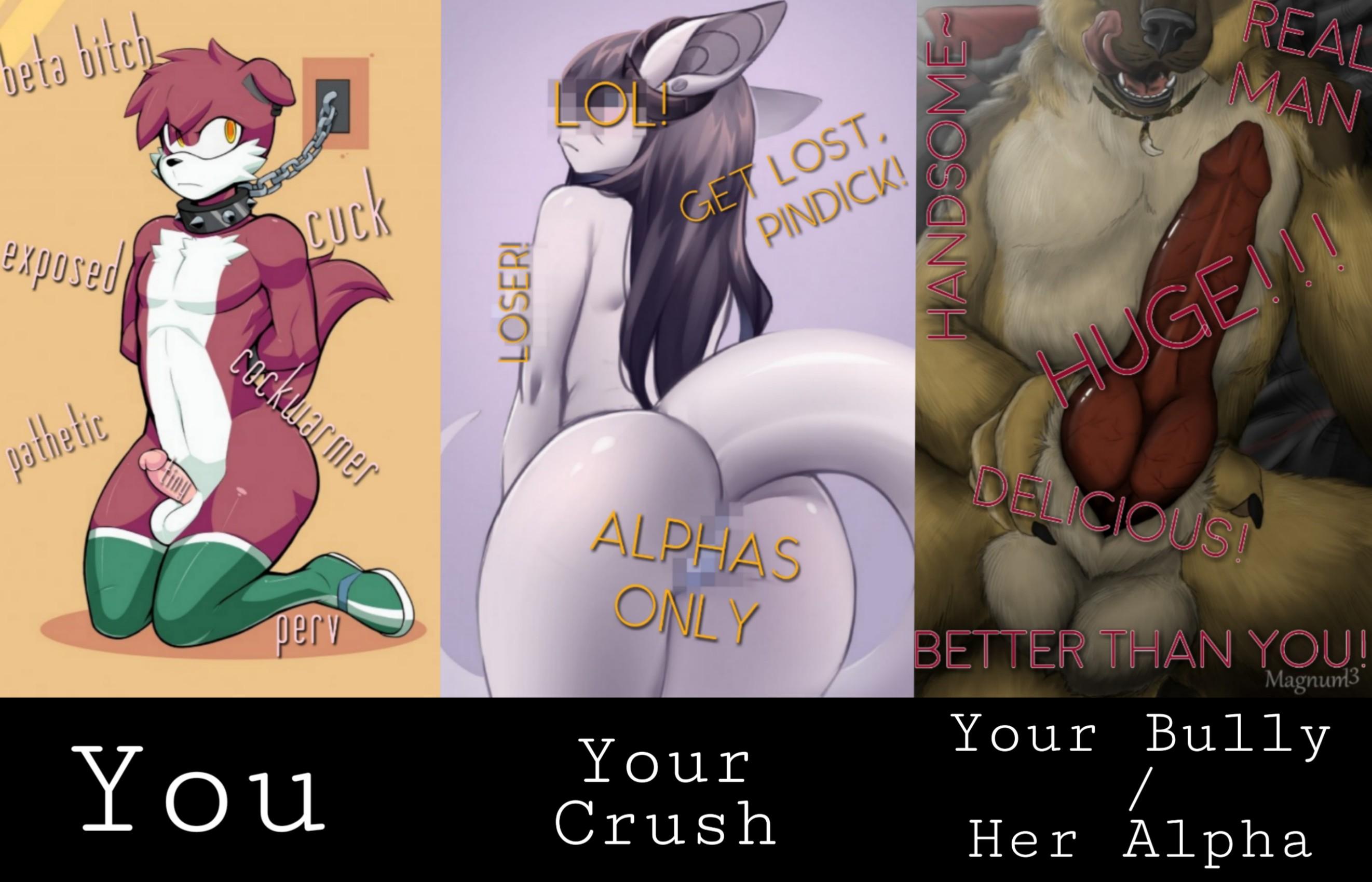 Furry Hentai Captions