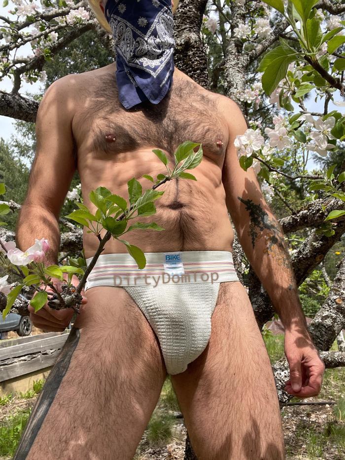DirtyDomTop