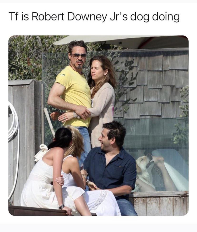 Doggy style : rmemes