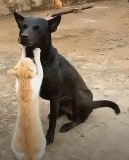 I got you buddy!