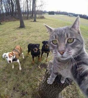 blursed selfie