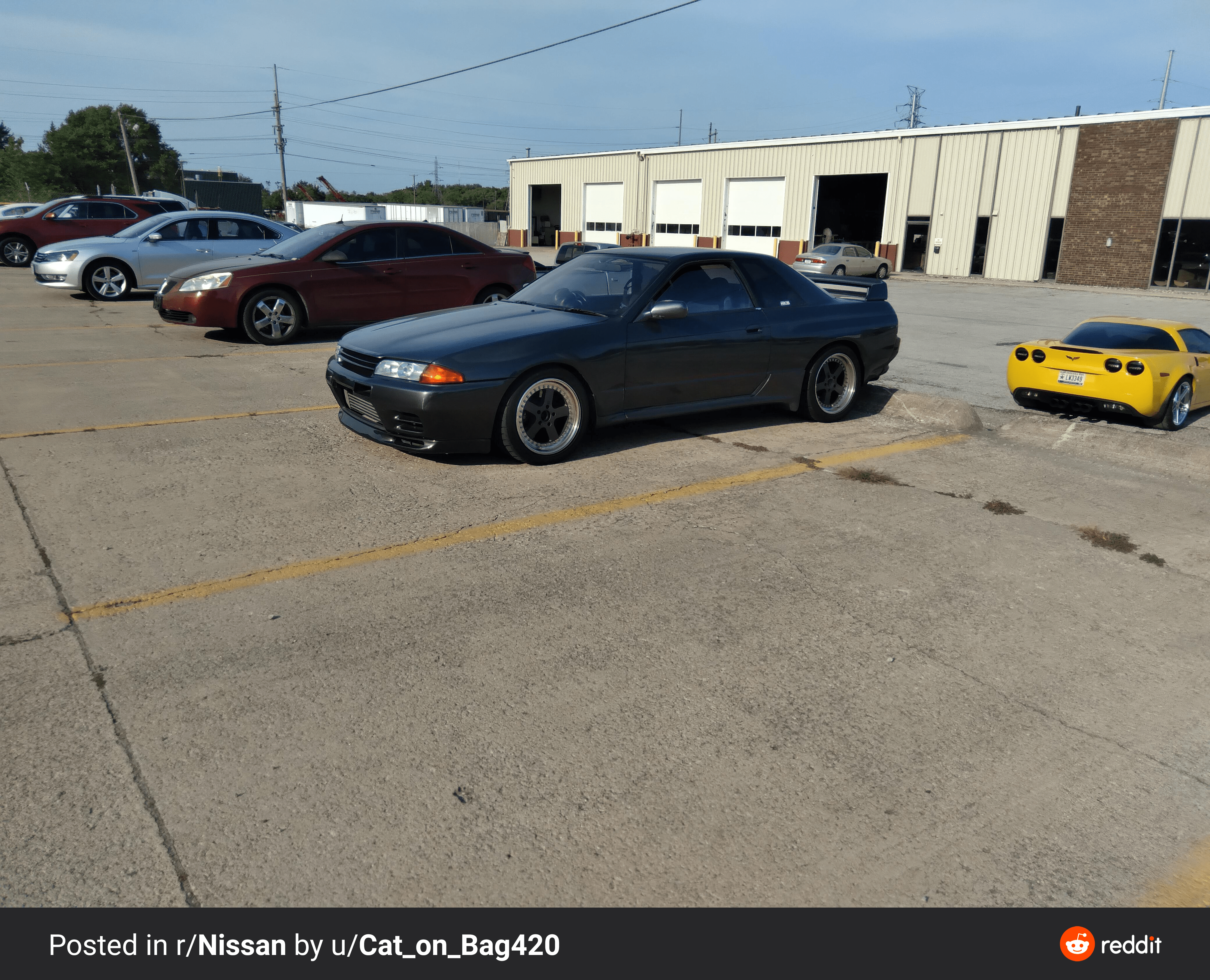 what is this a corvette for ants rconfusing_perspective on ants in my car reddit