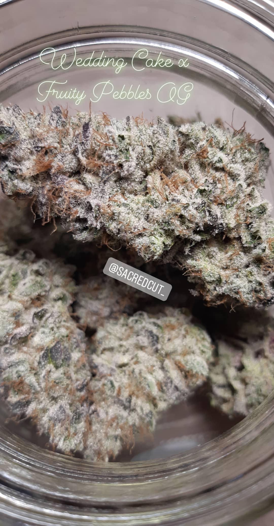 Jar porn: wedding cake x fruity pebbles og (sacred cut seeds)