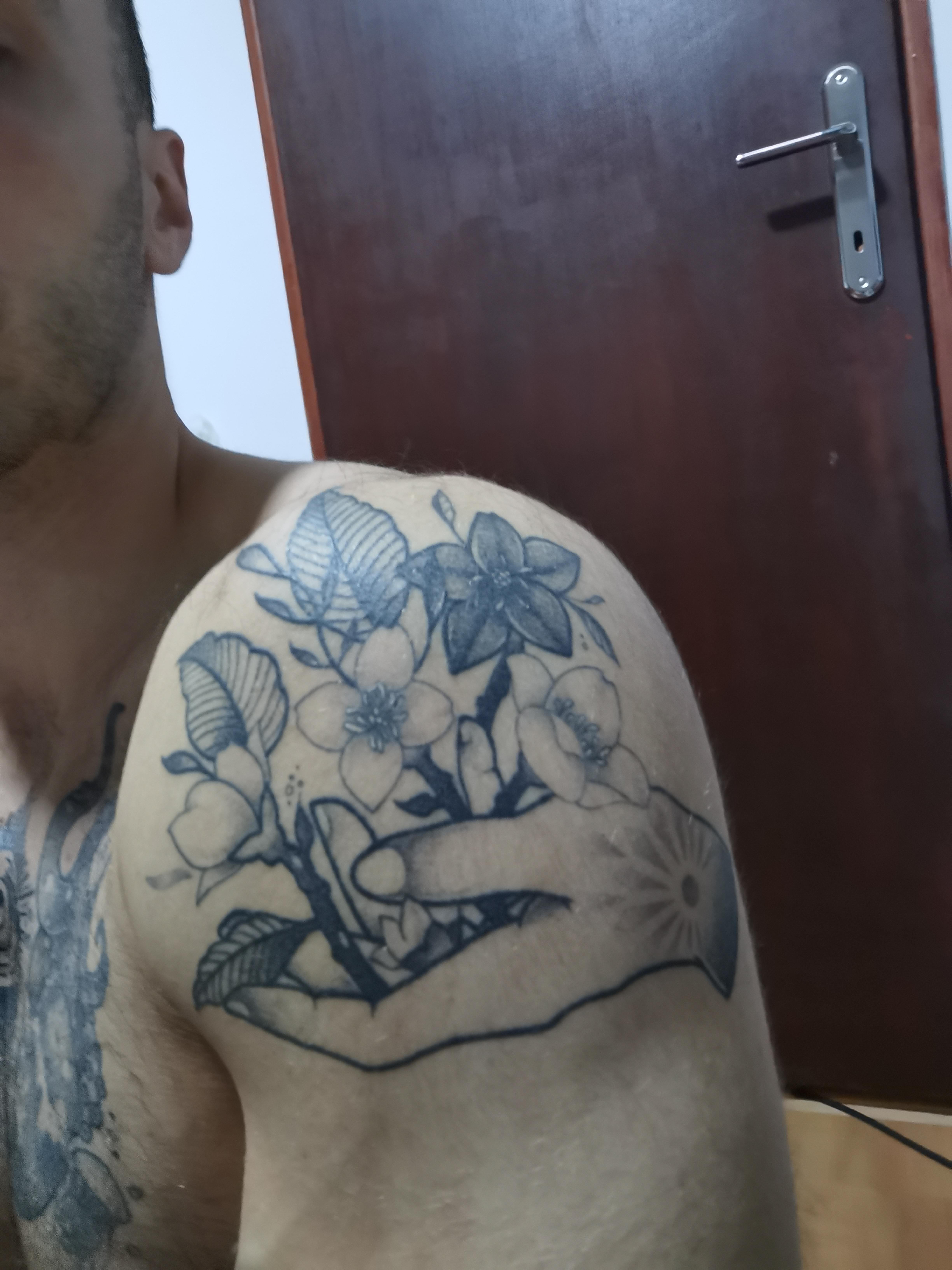 All My Tattoos, All But One Done By Semper Jenny, Niš, Serbia, Tattoo Therapy Studio : R/Tattoo 6528_x_4896_jpg