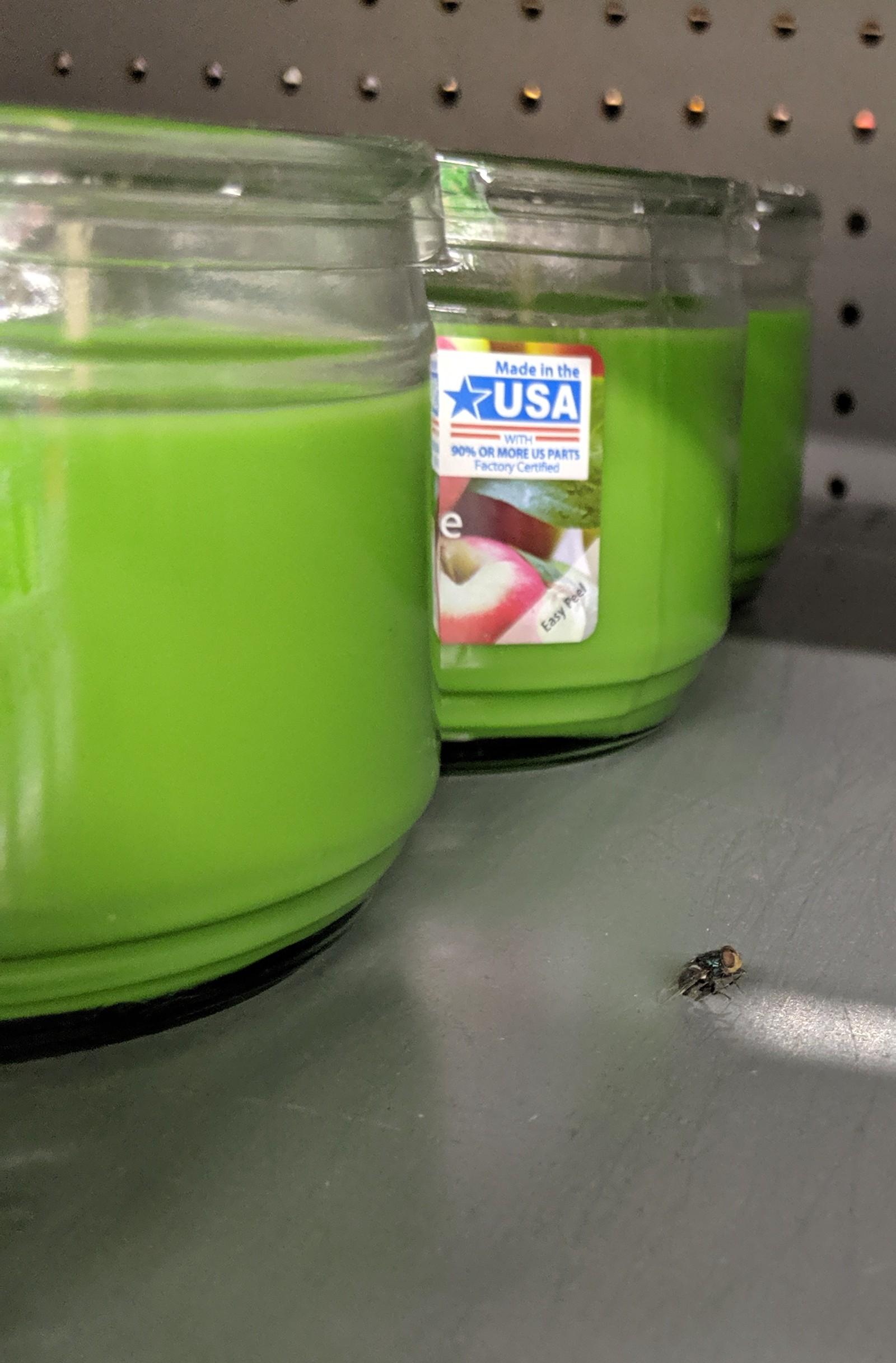 I think he got stuck to the waxy residue on the shelf.