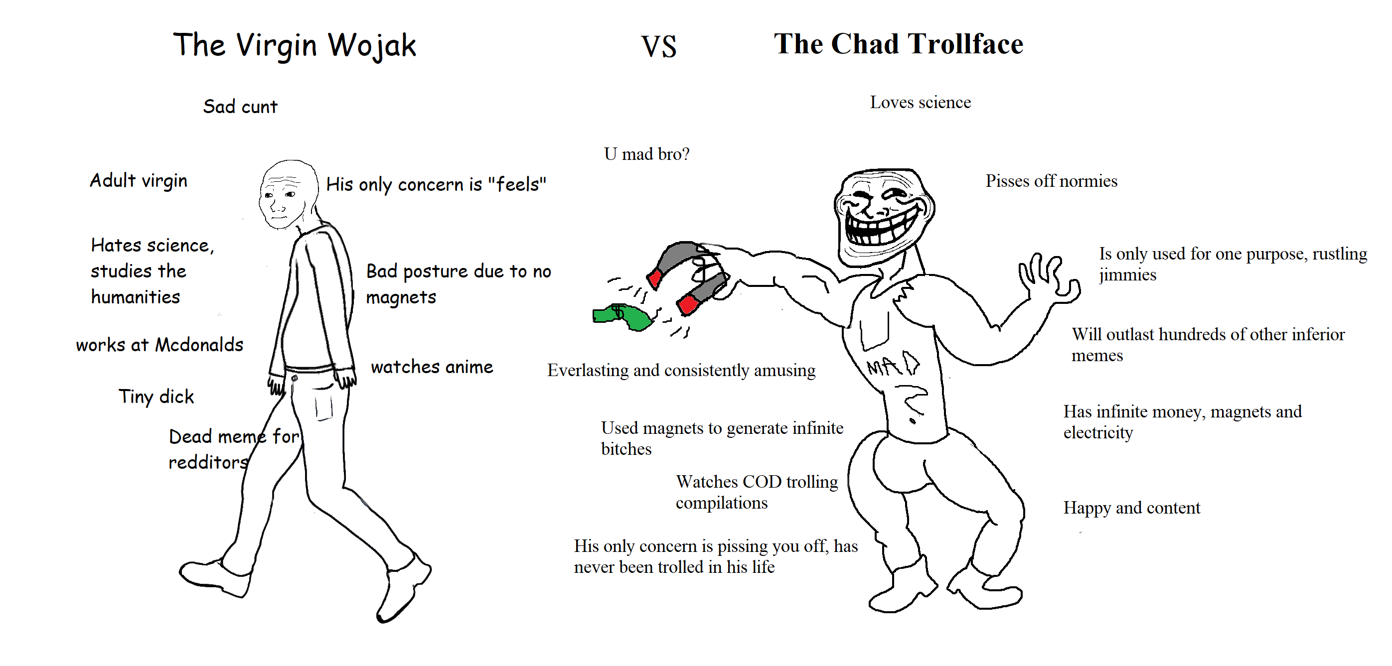 Memes are viral curiosities that spread through hyperlinks and email. People will grow tired of Wojak spam and rage comics will see a comeback in the 2020s. : The2020s