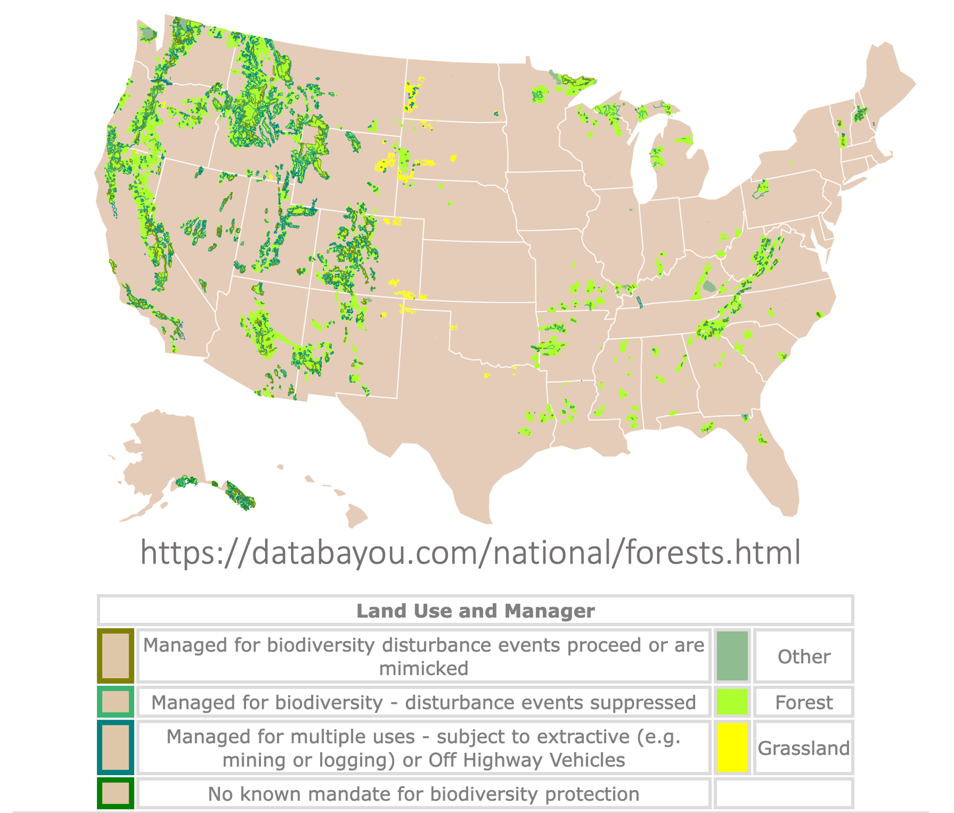 Unveiling Americas Forest Tapestry A Seasonal Guide 
